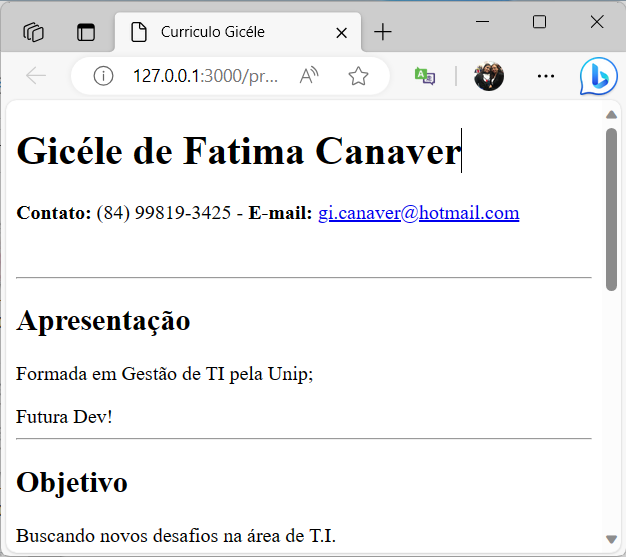 Projeto 1 - Currículo